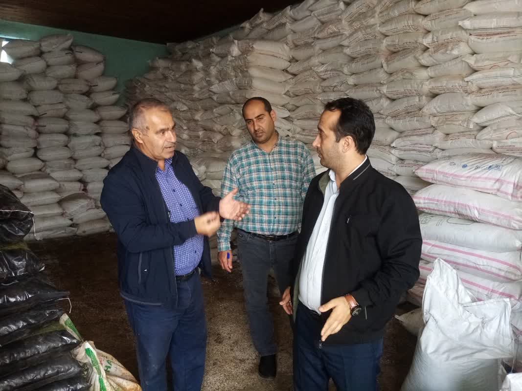 بازدید مدیر شرکت خدمات حمایتی کشاورزی گیلان از انبار کارگزاران تالش